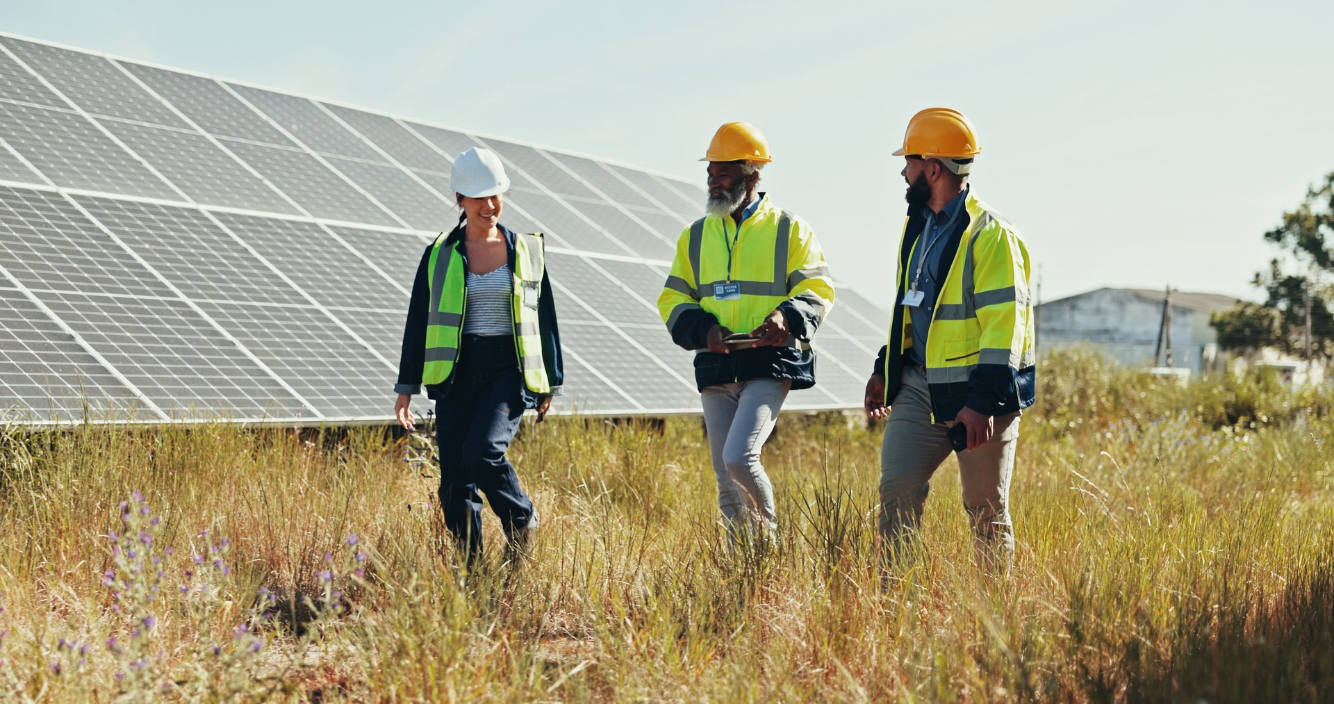 Business people, technician and walking with team for solar panel installation, photovoltaic development or project in nature. Group, engineer or contractors with helmet for renewable energy or power